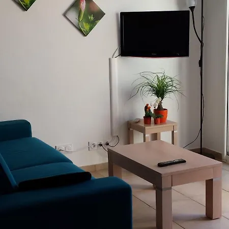 Nice Holiday Spot Near Extensive Beach On Beautiful Corsica アパート Santa-Maria-Poggio